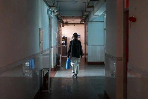 宿舍阿姨爆料视频大全集,揭秘校园生活那些不为人知的趣事